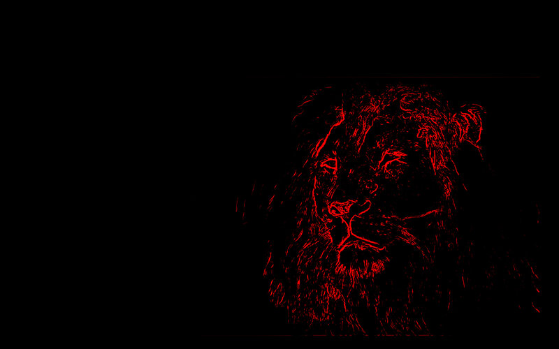 red lion sketch on black