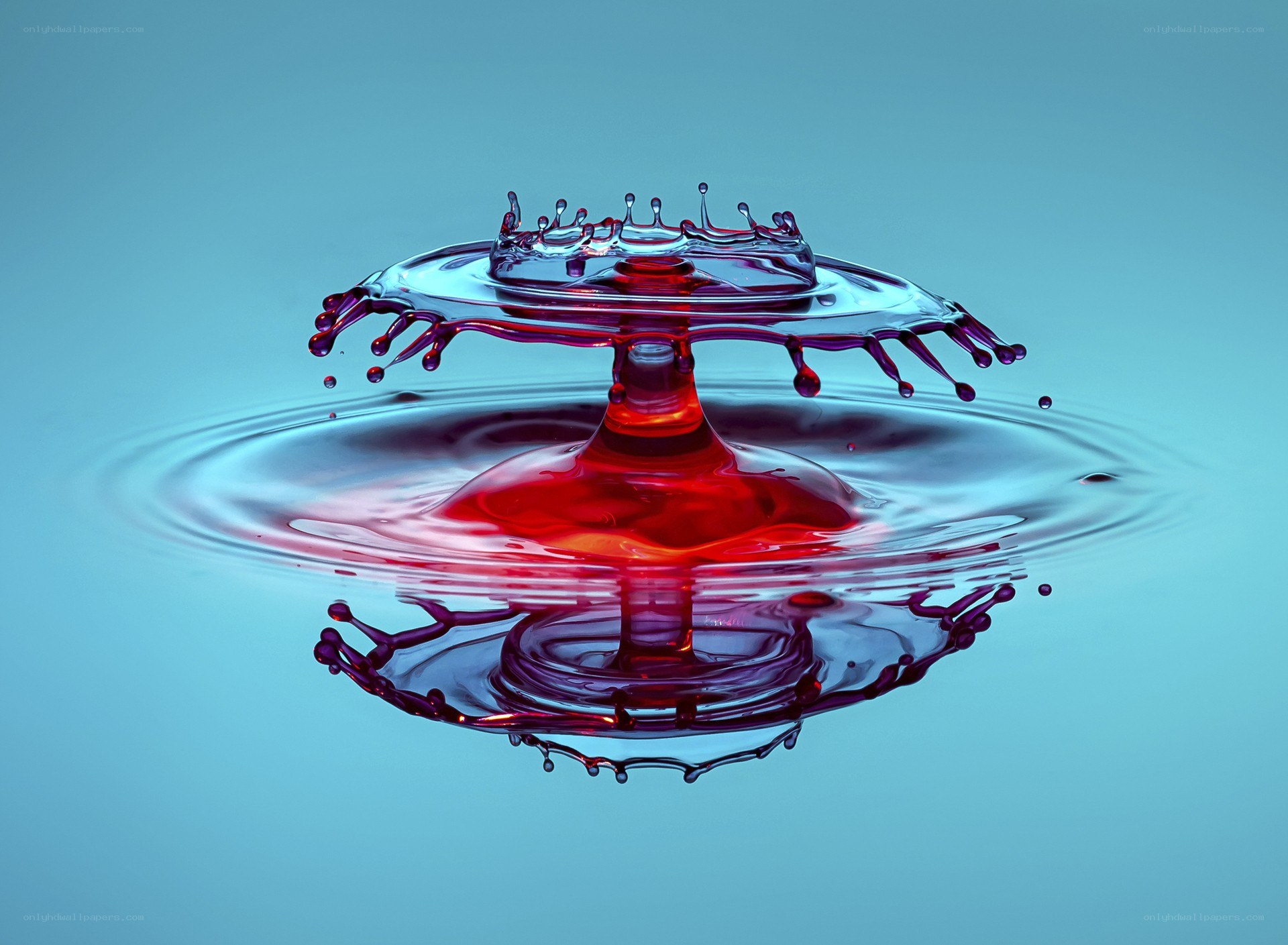 Red liquid drop splash
