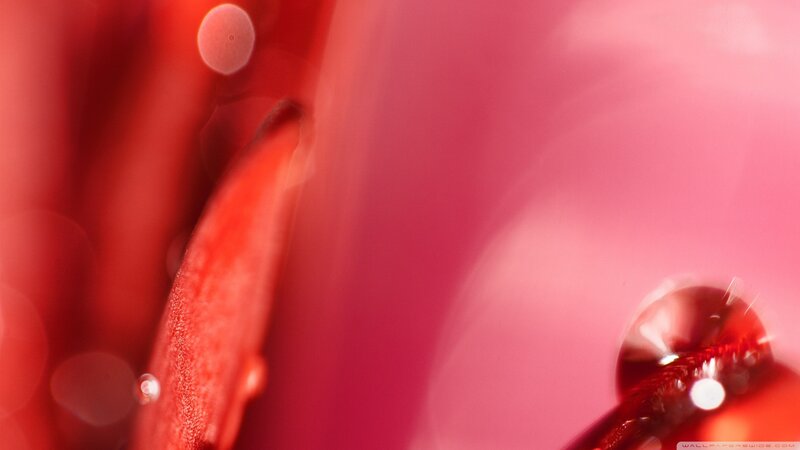 Red Liquid Droplet