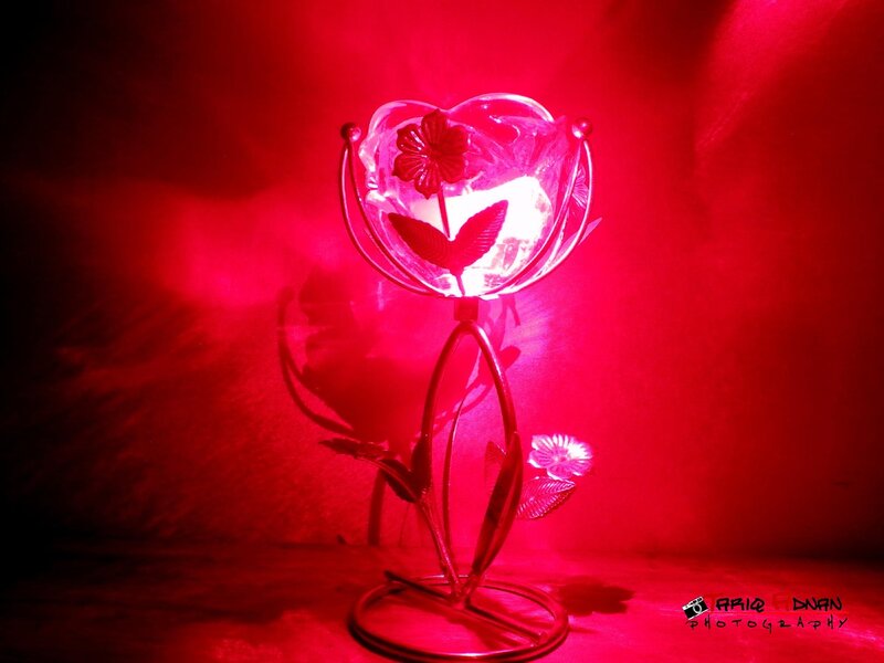 Red-lit flower lamp