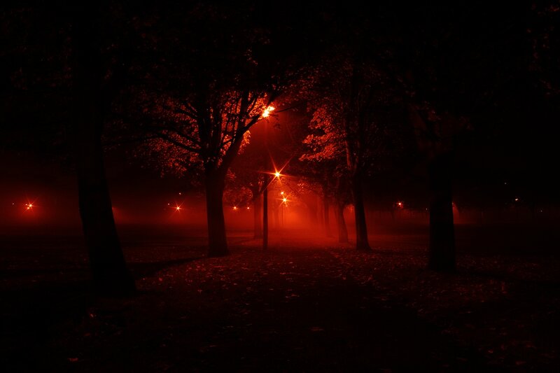 Red-lit foggy park at night