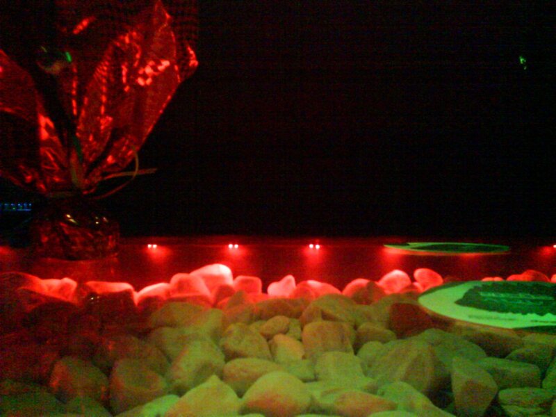 Red-lit rocks and flowers