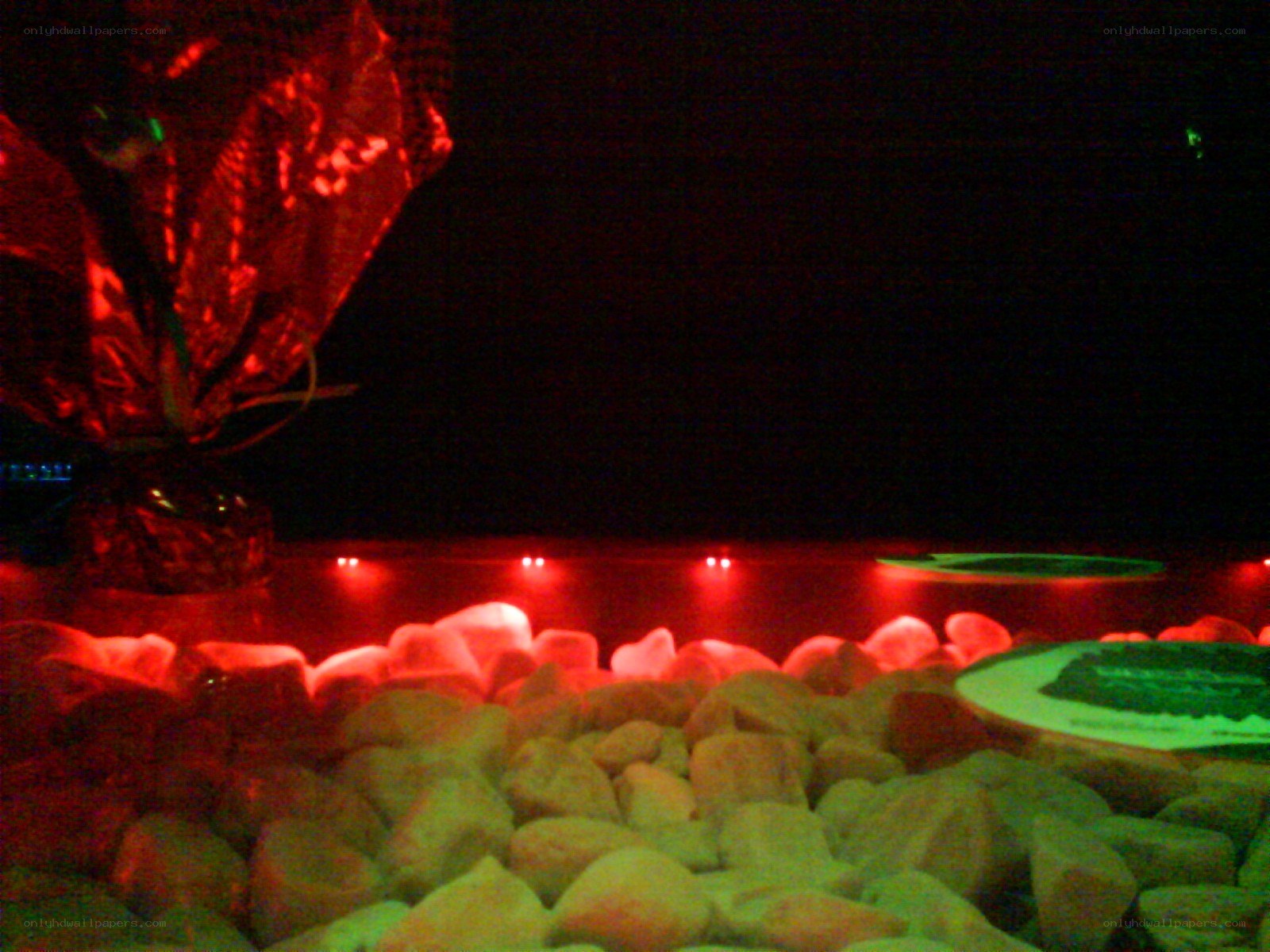 Red-lit rocks and flowers