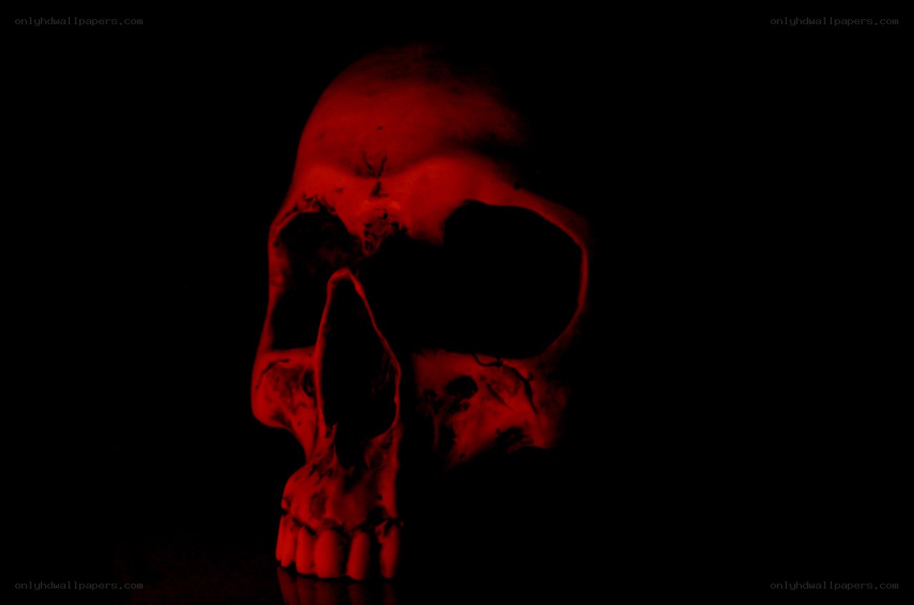 red-lit skull in darkness