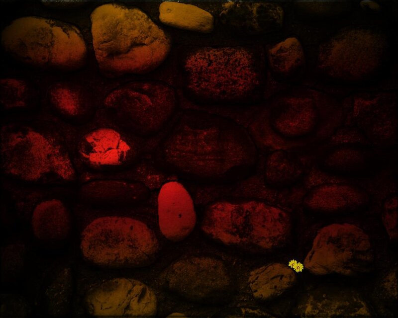 Red-lit Stones with Flower