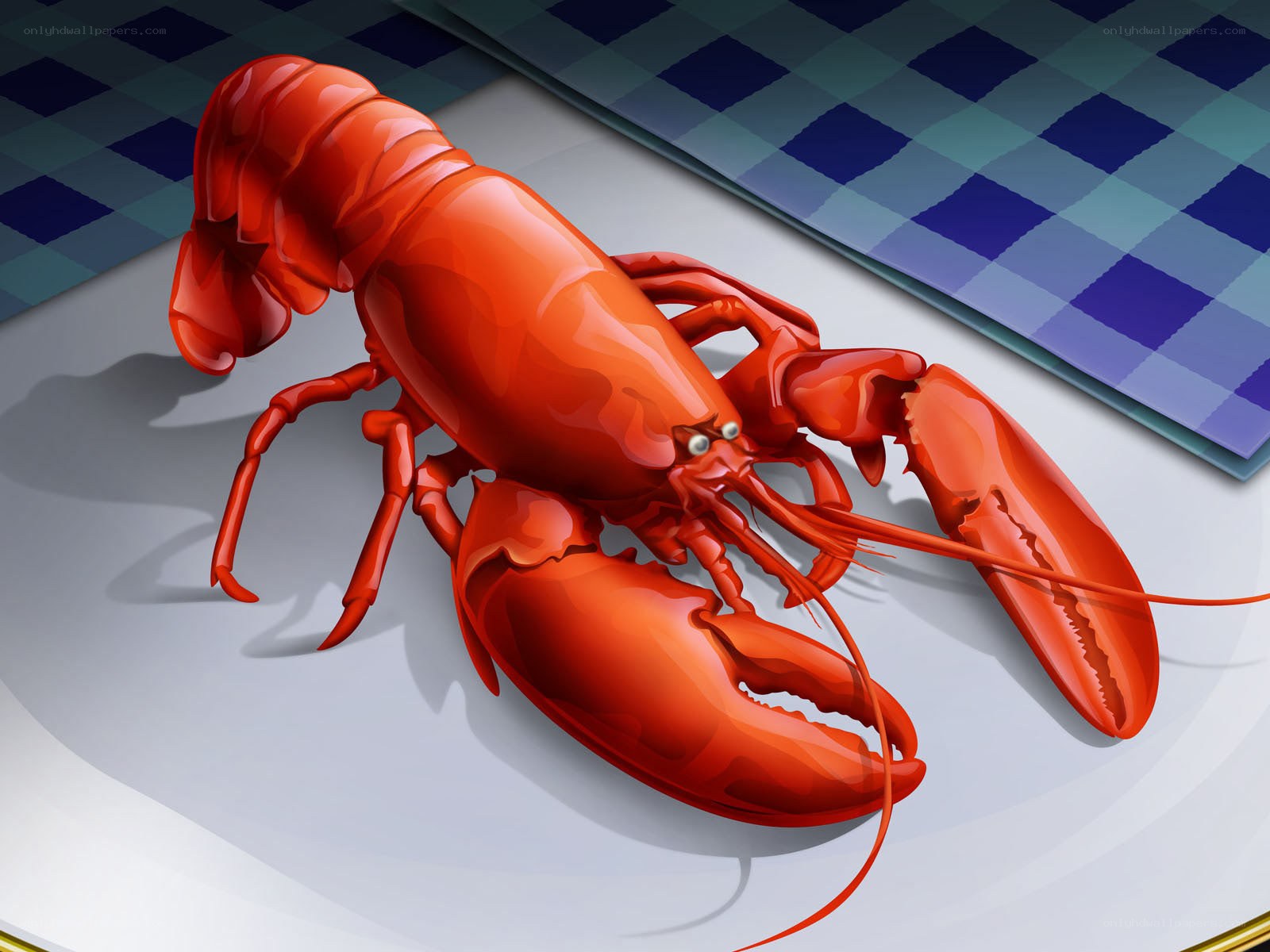 Red lobster on a plate