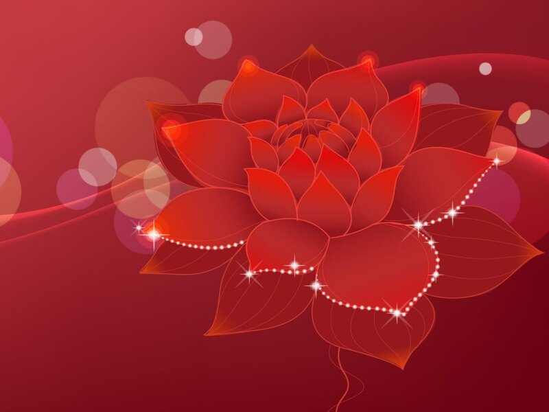 Red Lotus Flower — Calm