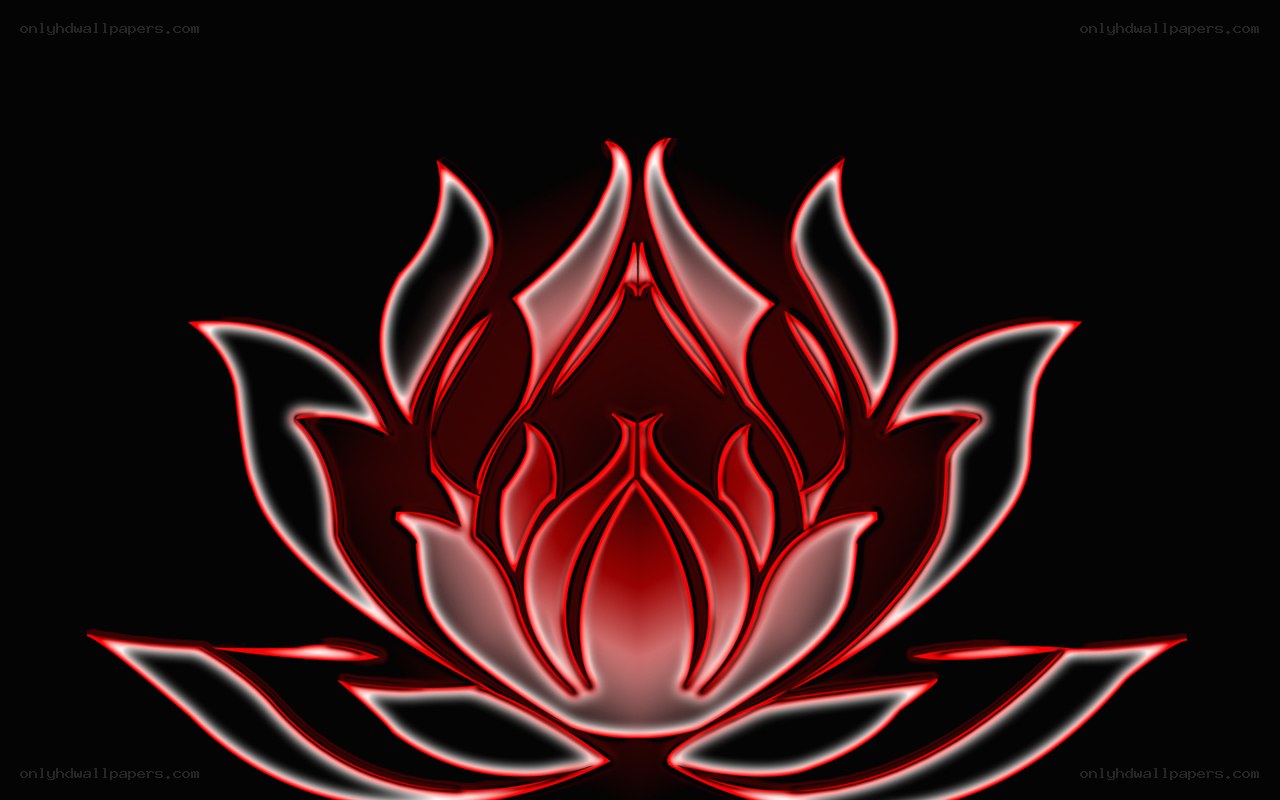 red lotus flower design