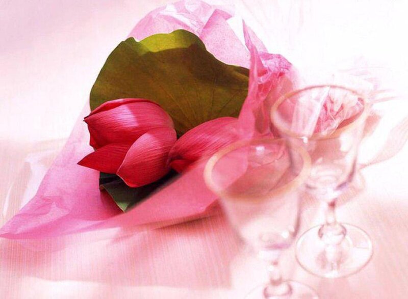 Red Lotus Flower — Pink