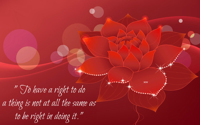 Red Lotus Flower — Serene, Digital Art, Quote