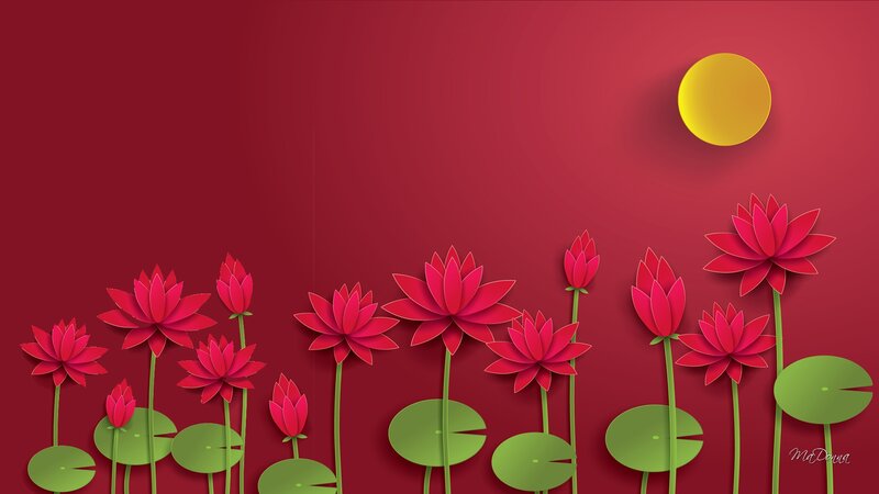 Red Lotus Flowers — Serene