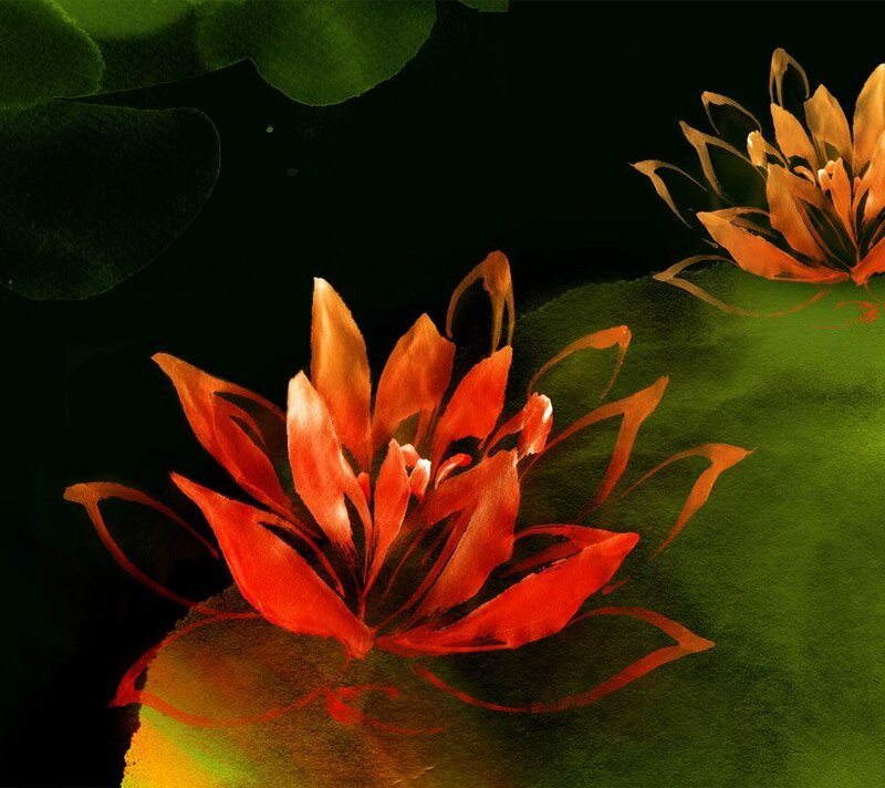 Red Lotus Flowers
