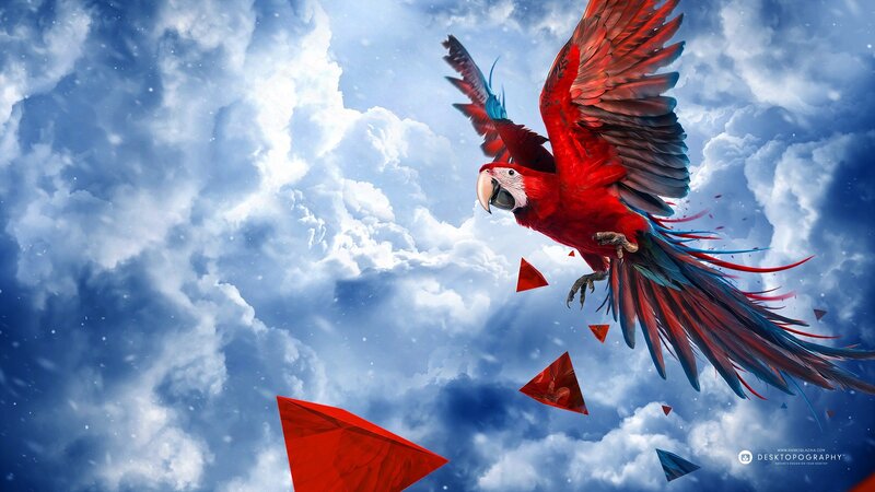 Red Macaw in Flight — Dramatic, Digital Art