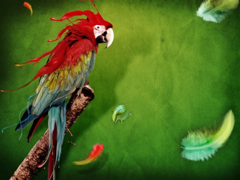 Red Macaw on Branch — Digital Art