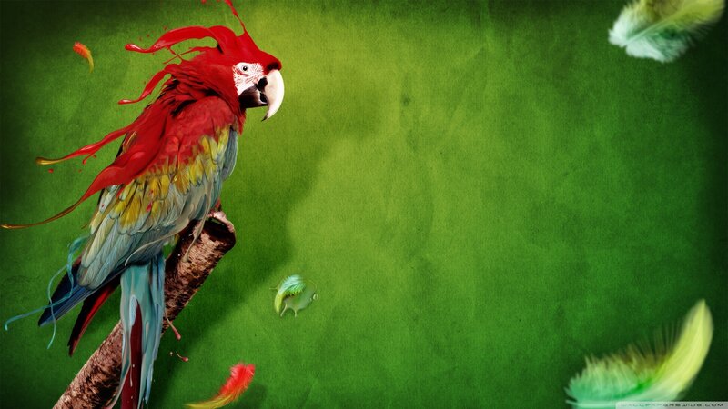 Red Macaw on Branch — Green, Vibrant