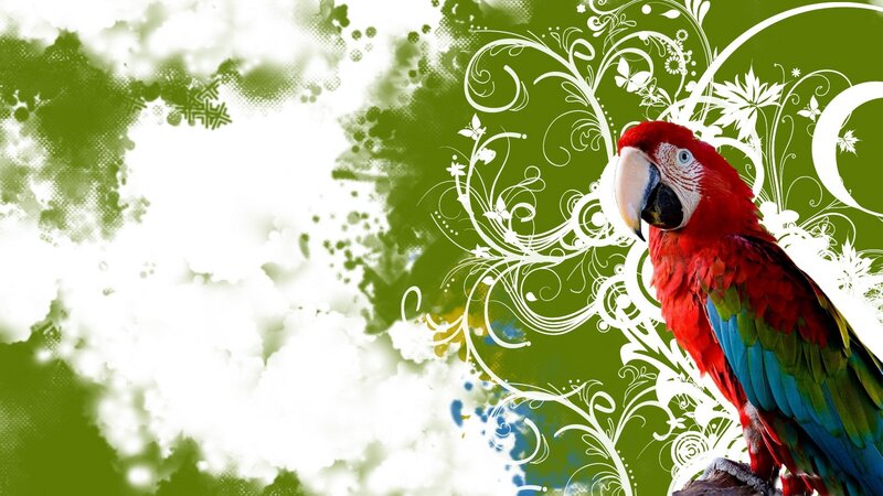 Red Macaw Parrot — Vibrant, Digital Art
