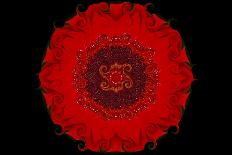 Red Mandala Flower