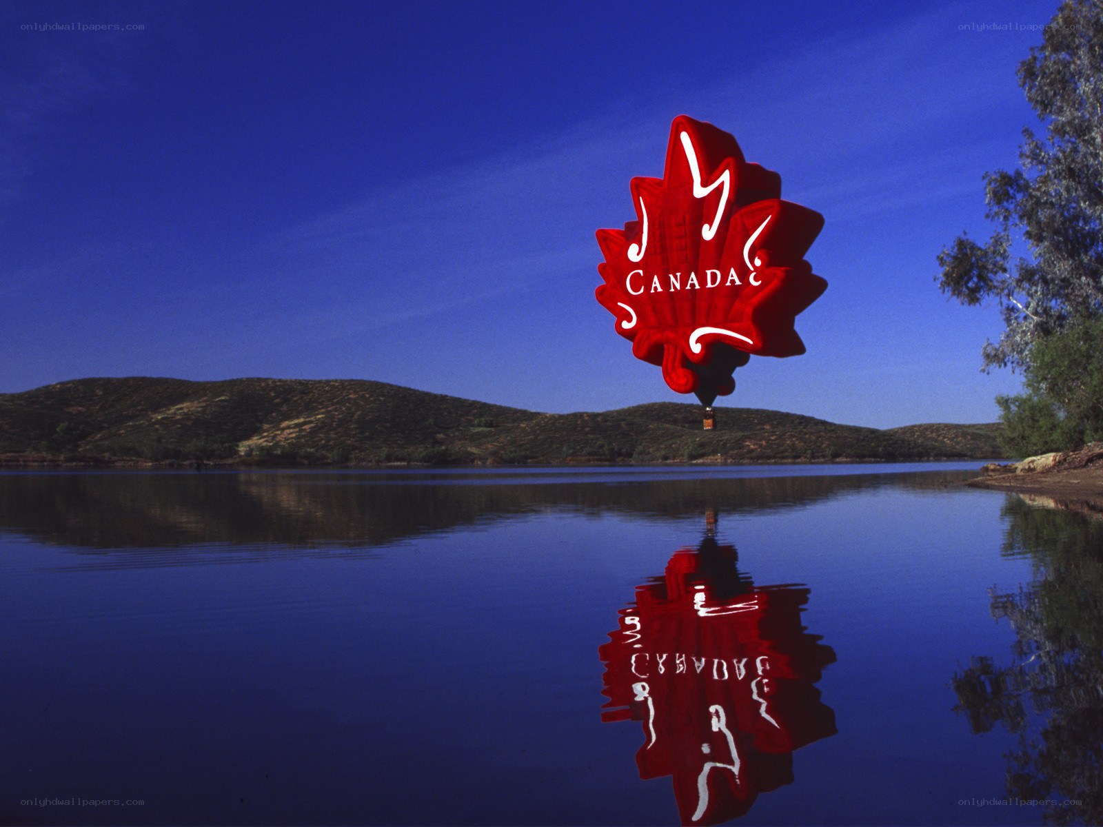 Red maple leaf balloon over lake