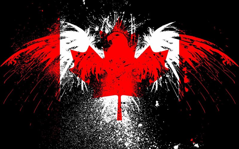 Red Maple Leaf Bird
