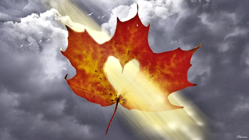 Red Maple Leaf — Dramatic, Autumn, Digital Art