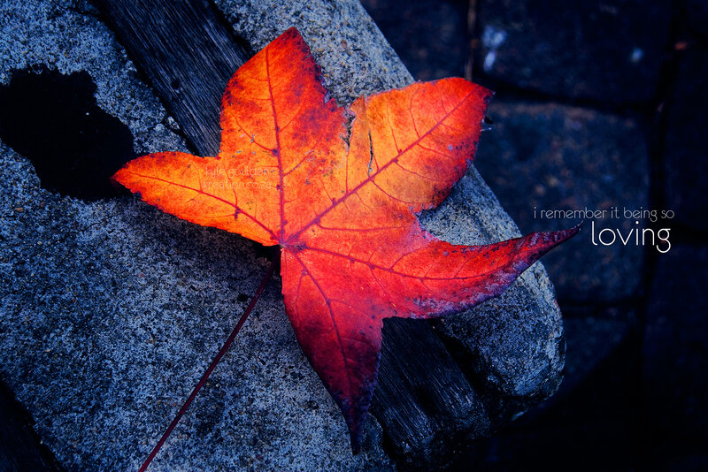 Red Maple Leaf — Dramatic, Autumn, Photograph, Stone