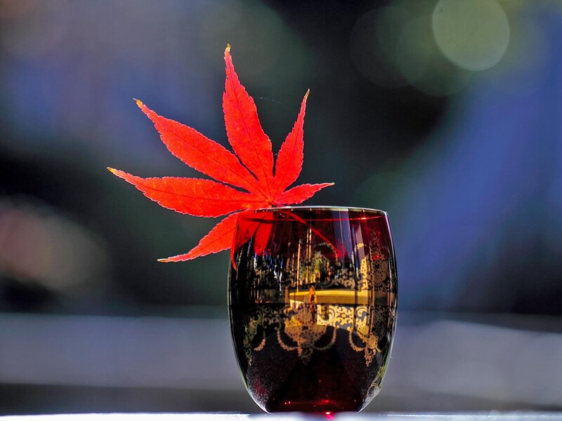 Red Maple Leaf in Glass