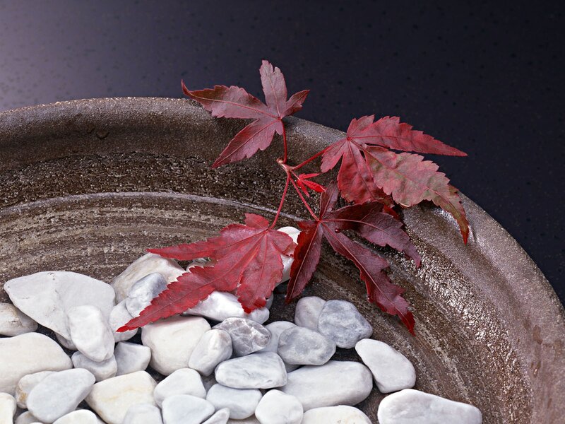Red maple leaf in stone bowl