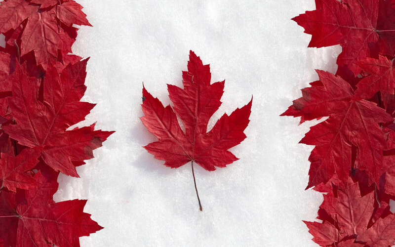 Red Maple Leaf on Snow — Calm