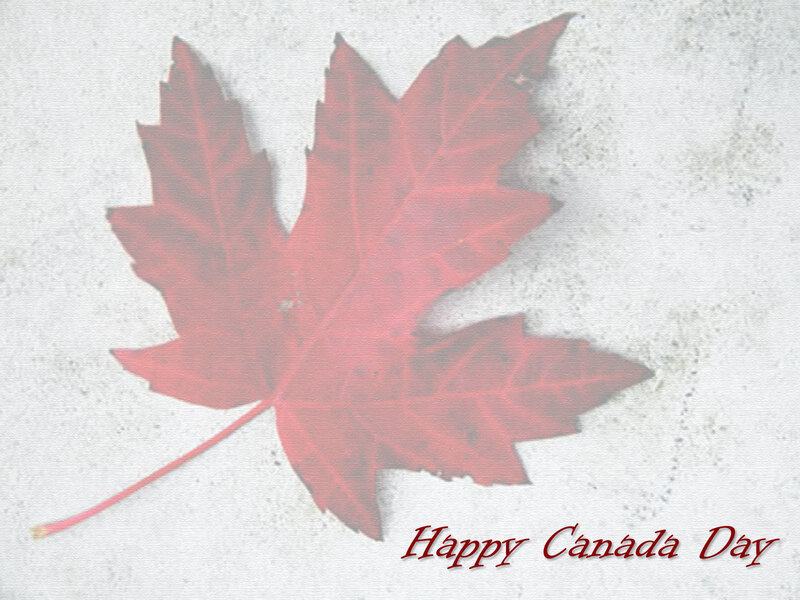 Red maple leaf on textured background