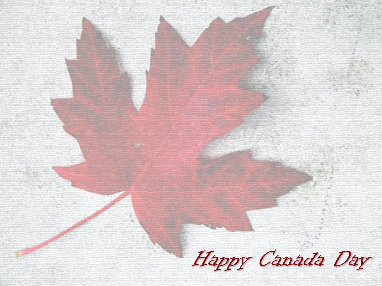 Red maple leaf on textured background