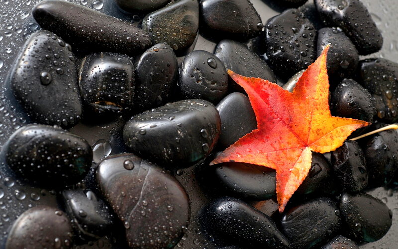 Red Maple Leaf on Wet Stones