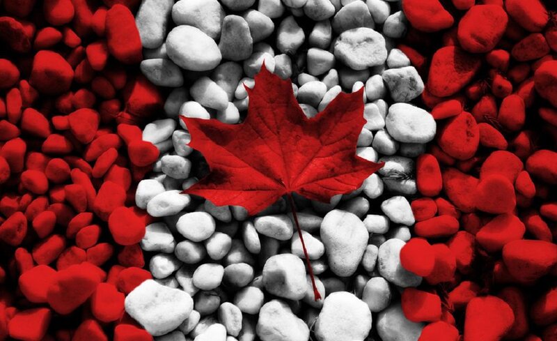 Red Maple Leaf — Patriotic, Photograph, Rocks