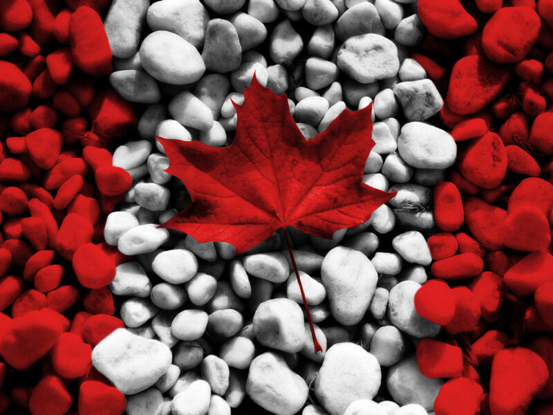 Red Maple Leaf — Patriotic, Photograph