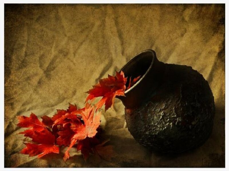 Red Maple Leaves in Vase — Dramatic