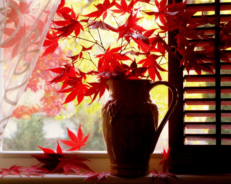 Red Maple Leaves in Vase