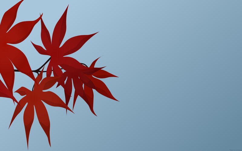red maple leaves on blue