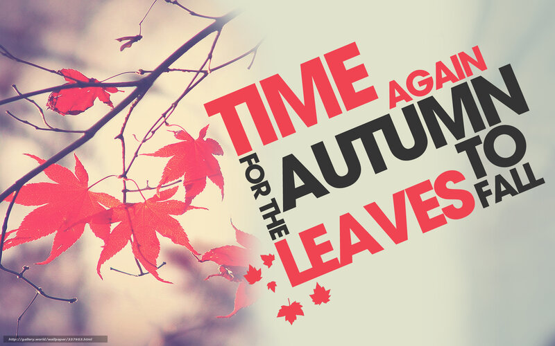 Red Maple Leaves on Branch — Calm