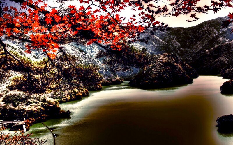 Red Maple Leaves over River