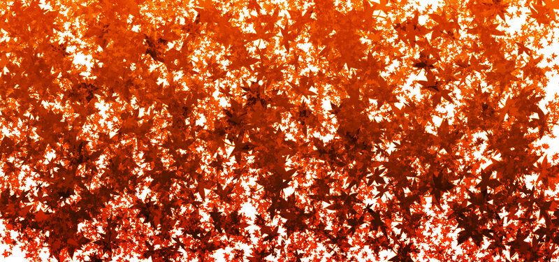 Red maple leaves pattern
