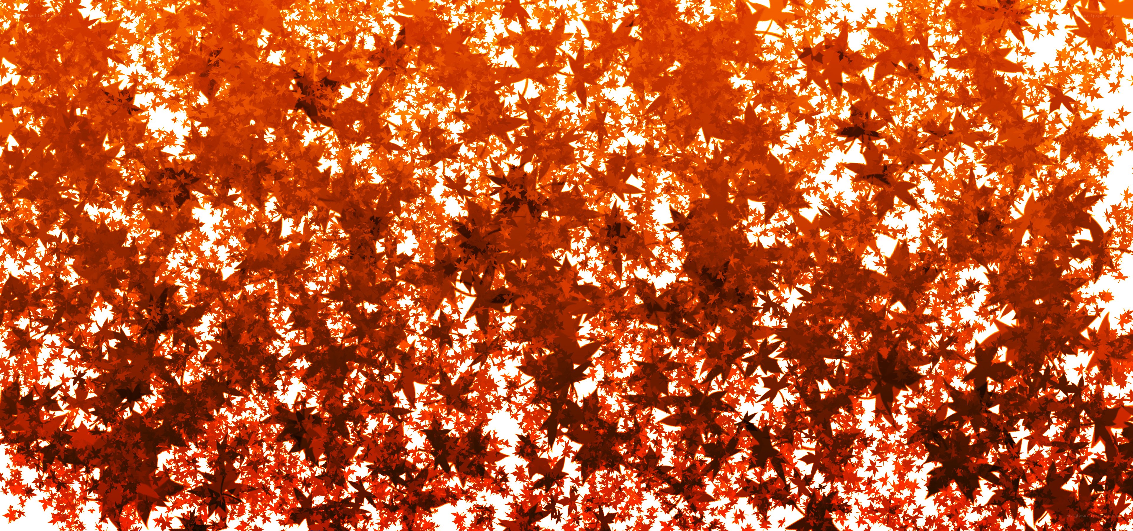 Red maple leaves pattern