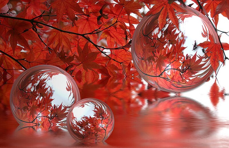 Red Maple Leaves — Serene, Autumn, Digital Art