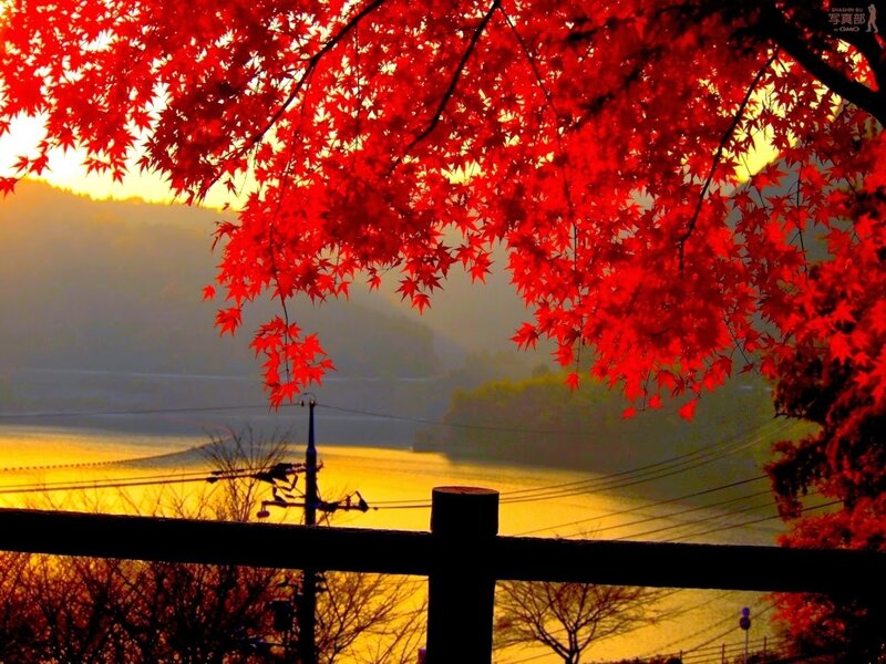 Red Maple Leaves — Serene, Sunset, Photograph, River, Mountain