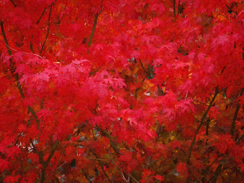 Red Maple Leaves — Vibrant, Autumn, Painting