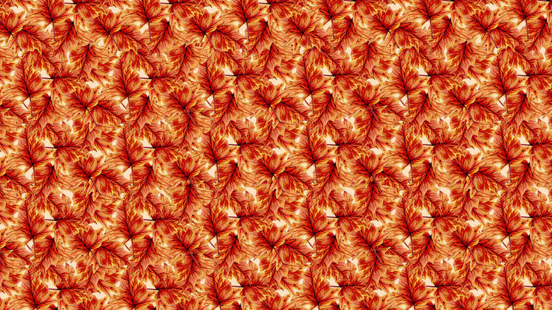 Red Maple Leaves — Warm, Autumn, Photograph, Pattern