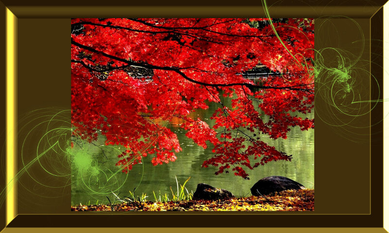 Red Maple Tree over Water