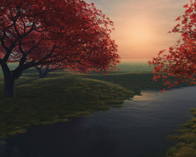Red maple trees at sunset