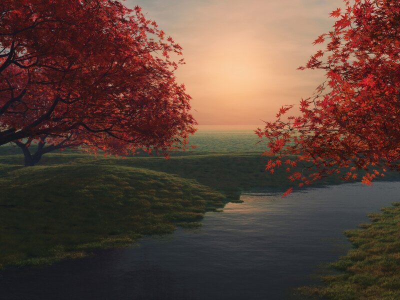 Red Maple Trees by River — Serene