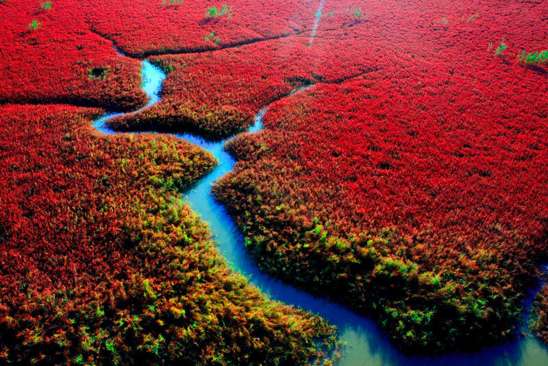 Red Marshland with River — Dramatic