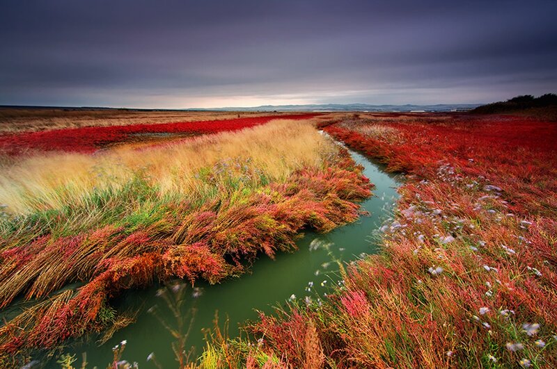 Red Marshland with Stream — Dramatic