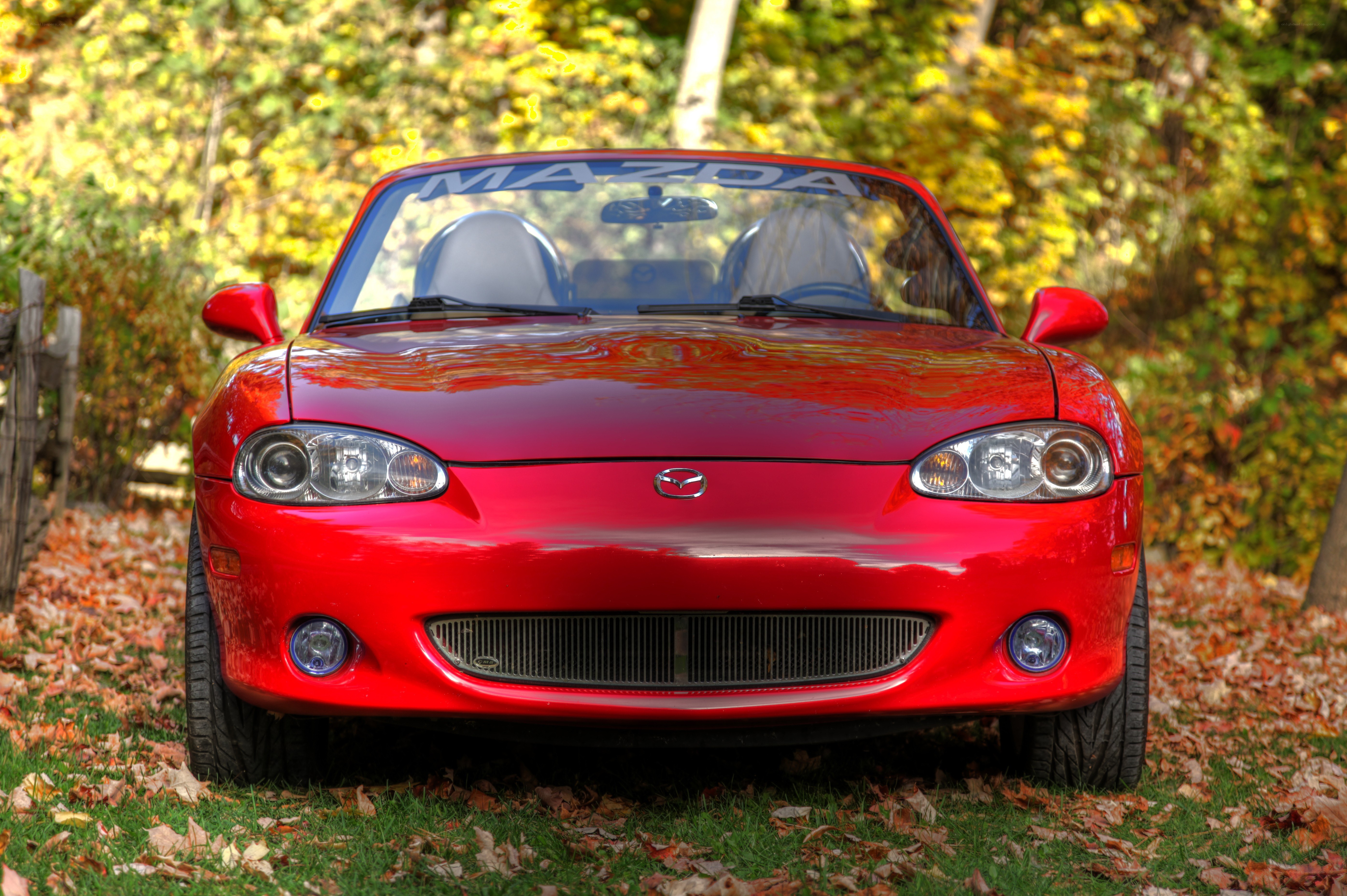 Red Mazda Miata in autumn